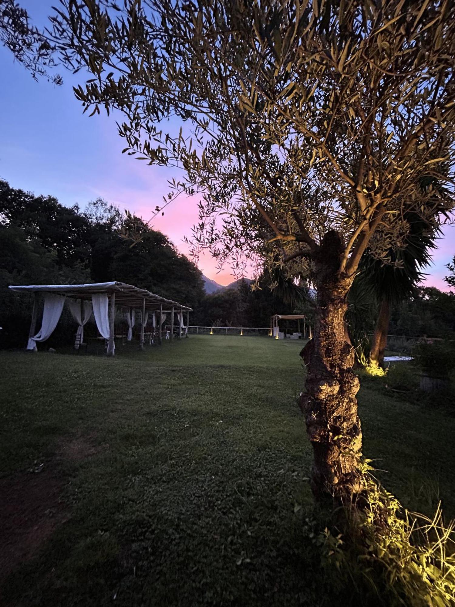 Agriturismo Colle Maiano Vietri Zewnętrze zdjęcie